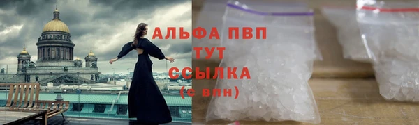 сатива Волосово