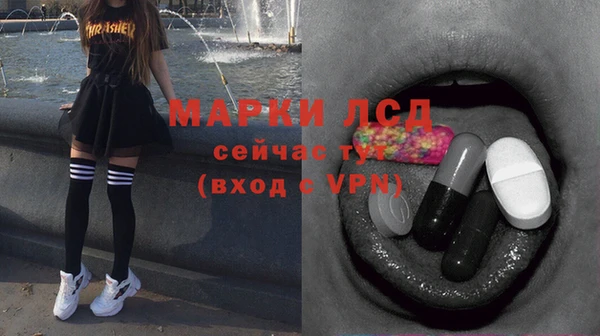 сатива Волосово