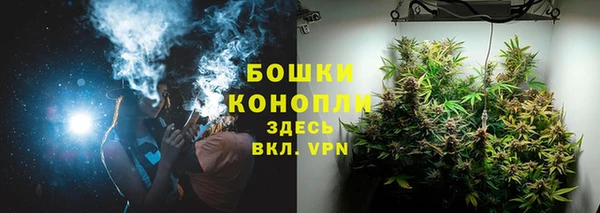 apvp Володарск