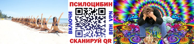 Галлюциногенные грибы Psilocybine cubensis  купить наркотики сайты  Электрогорск 