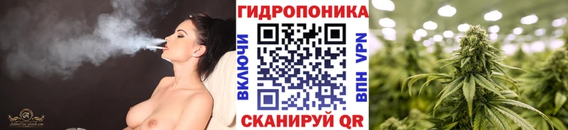 Канабис индика  Электрогорск 